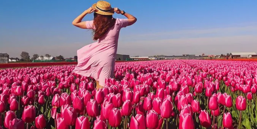 Printemps 2026